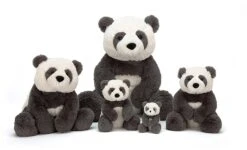 Jellycat Harry Pandajunges Baby -Plüschtierladen afbeelding 4 13