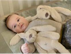 Happy Horse Tiny Beige Kaninchen Richie - 28 Cm -Plüschtierladen happy horse tiny beige kaninchen richie 28 cm 3