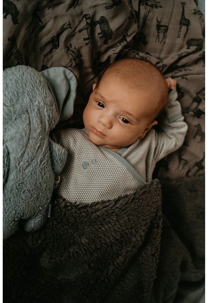 Snoozebaby ORGANIC Olly Elefant Frisch Blau 2 Snoozebaby ORGANIC Olly Elefant Frisch Blau – Bild 2