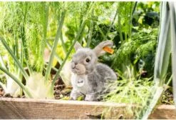 Steiff Dormili Rabbit, Light Grey -Plüschtierladen steiff dormili rabbit light grey 3