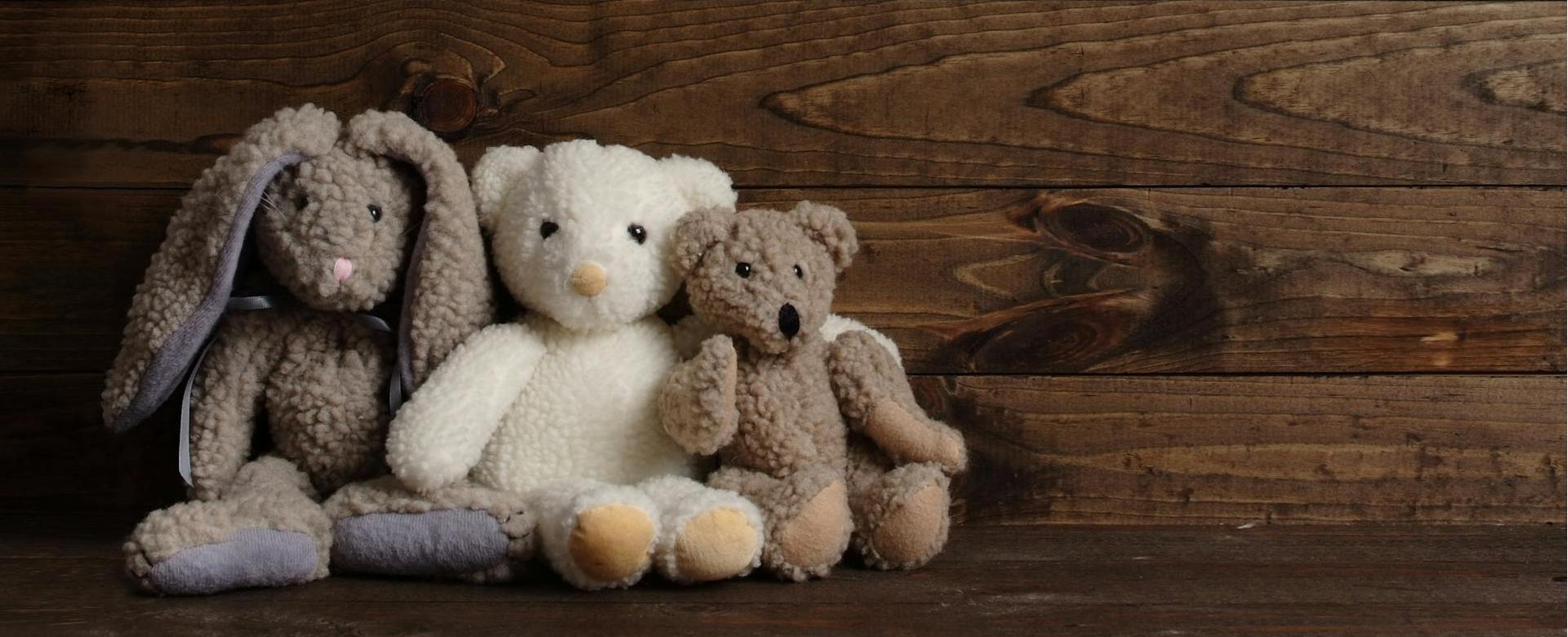 Plüschtierladen 1 Plüschtierladen -Plüschtierladen pexels laurie ludes 546238 6017193